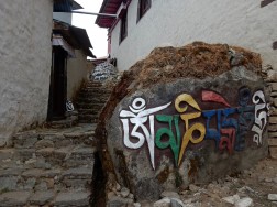 nepal (31)